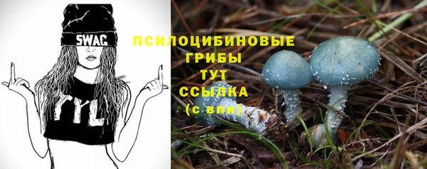 прущие крисы Баксан
