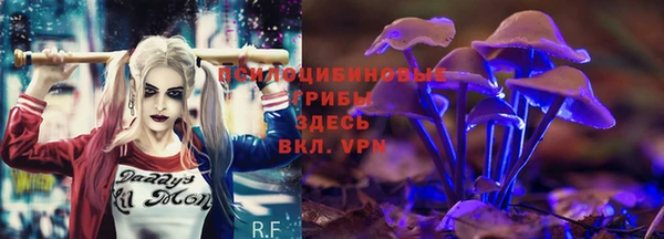 прущие крисы Баксан