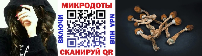 наркошоп  Вязьма  Псилоцибиновые грибы Magic Shrooms 
